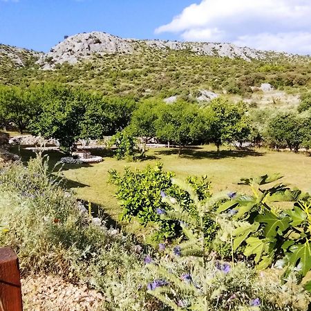 فيلا The Garden Of Elais شيبينيك المظهر الخارجي الصورة