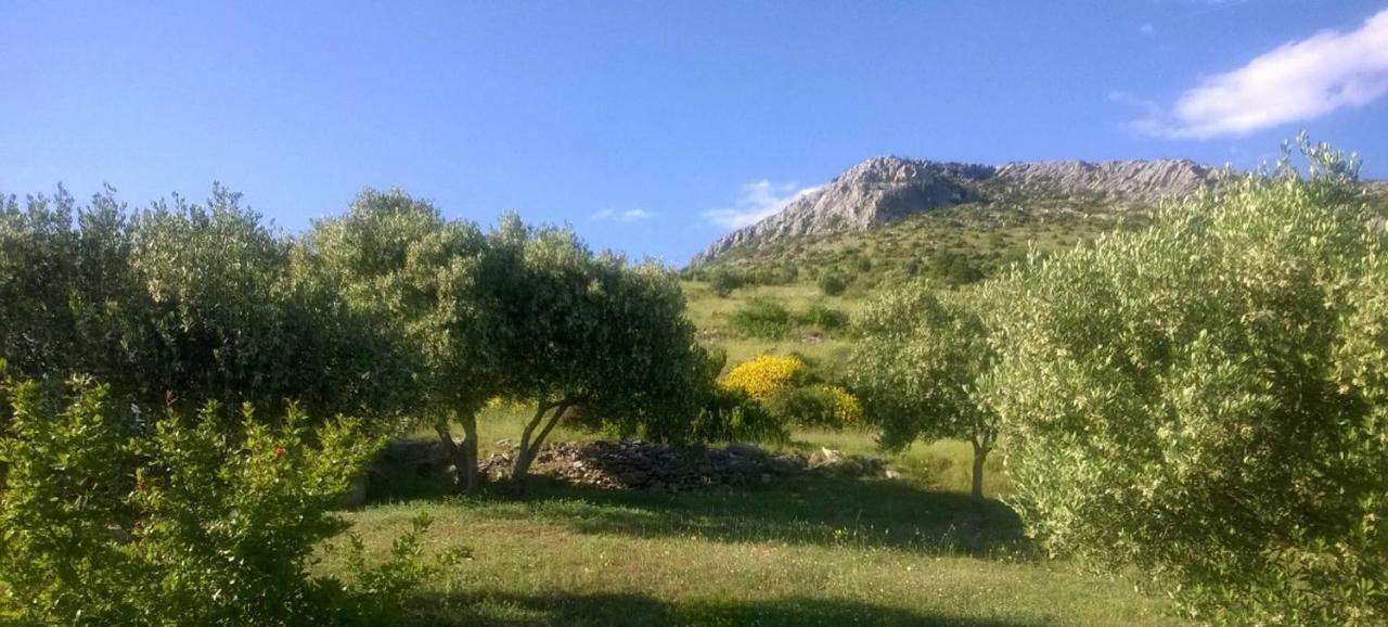 فيلا The Garden Of Elais شيبينيك المظهر الخارجي الصورة